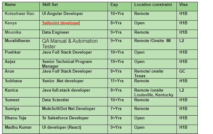 SailPoint developer Jobs Hotlist