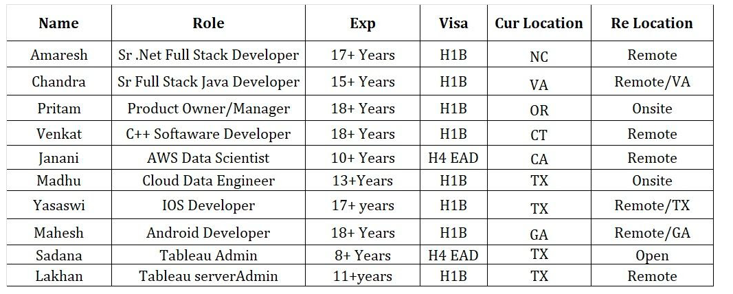 Dot Net Developer Jobs Hotlist