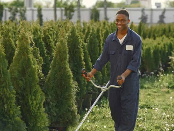 Environmental Jobs with Visa Sponsorship