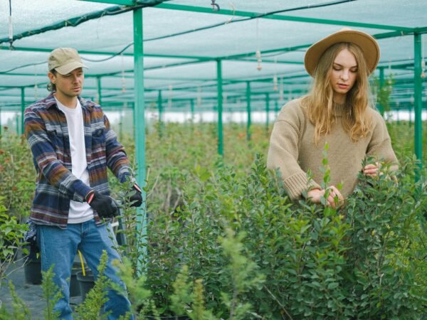 Farm Visa Sponsorship Jobs