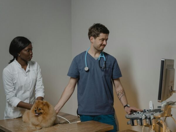 Healthcare Assistant Jobs with Sponsorship